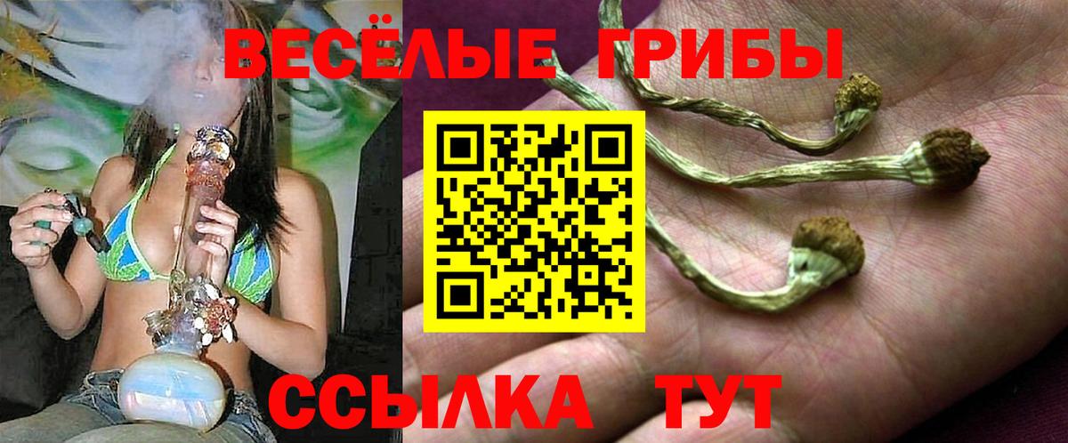 Галлюциногенные грибы мухоморы  Вход с VPN  Волгоград 