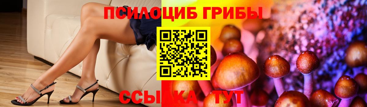 Псилоцибиновые грибы ЛСД Волгоград